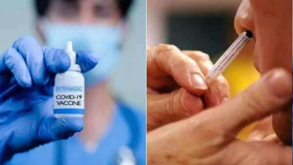 Nasal Vaccine Price: નેઝલ વેક્સીનની કિંમત નક્કી, જાણો શું છે ભાવ