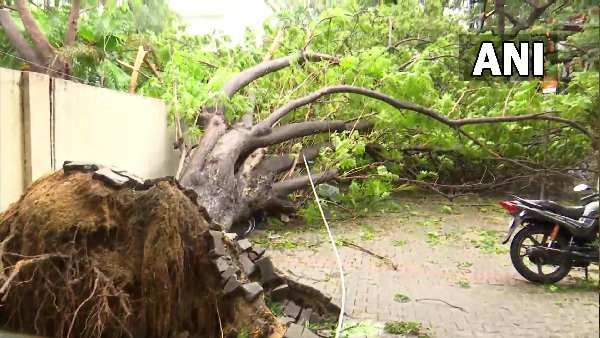 રાહત અને બચાવ કામગીરી ચાલુ, વીજળી ડૂલ