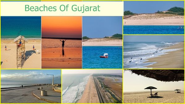 Travel Tips : નવા વર્ષની ઉજવણીનો ભરપૂર આનંદ, ગુજરાતના સુંદર દરિયાકિનારા ફરવા જવા માટે છે બજેટ ફ્રેન્ડલી