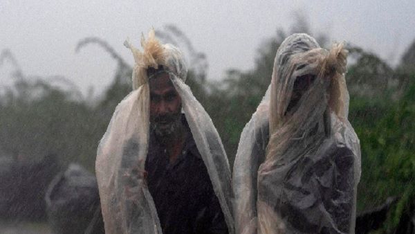 5000 હેક્ટરથી વધુનો પાક નાશ પામ્યો