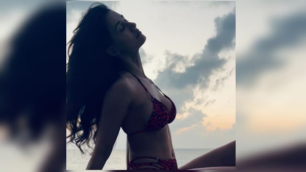 બિકીની ફોટો દ્વારા દિશા પટનીએ સોશિયલ મીડિયાનું તાપમાન વધાર્યું