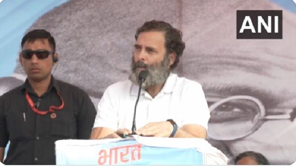 'ભારત જોડો યાત્રા રોકવા માટે ભાજપ બહાના બનાવી રહી છે', મનસુખ માંડવિયાના પત્ર પર રાહુલનો જવાબ