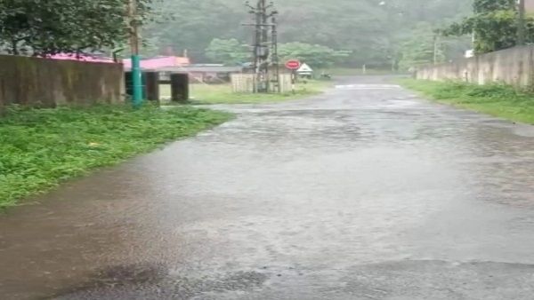 હવામાન વિભાગની આગામી 24 કલાકમાં મધ્ય અને દક્ષિણ ગુજરાતમાં વરસાદની આગાહી