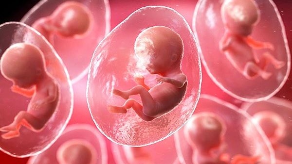 3ડી પ્રિન્ટરથી બનાવાયો કાન