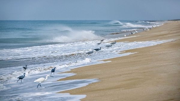 સોમનાથ બીચ - Somnath Beach સોમનાથ બીચ - Somnath Beach