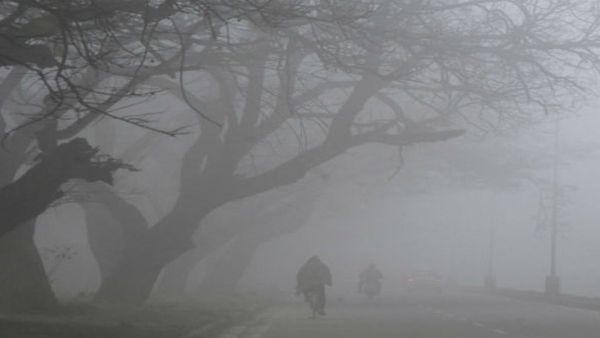 દિલ્હી સહિત ઉત્તર ભારતના આ રાજ્યોમાં 3 દિવસ ભારે ધુમ્મસ રહેશે, જાણો બીજુ શું કહ્યું હવામાન વિભાગે?