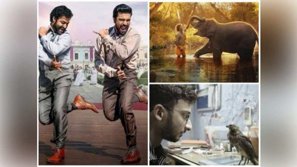 Oscars 2023: RRRના નાટૂ નાટૂને સર્વશ્રેષ્ઠ મૂળ ગીત માટે અને બે ડૉક્યુમેન્ટ્રીને મળ્યુ નૉમિનેશન