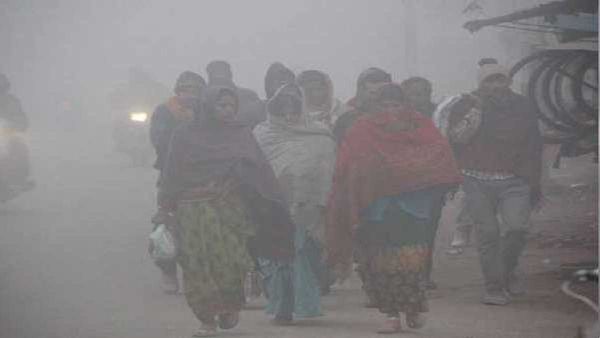 Gujarat Weather: રાજ્યમાં કાતિલ ઠંડી, આબુમાં -2 ડિગ્રી તાપમાન, જાણો હવામાન વિભાગની આગાહી