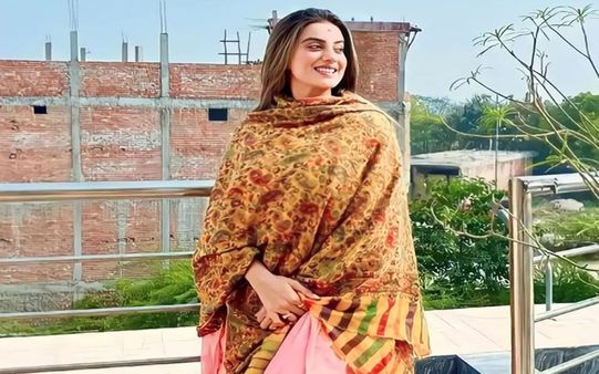 ઘણી વખત ફીના કારણે ફિલ્મોથી દૂર રહી છું