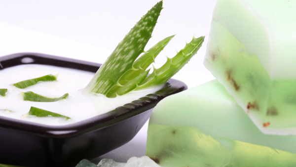 એલોવેરા જેલથી મળશે રાહત