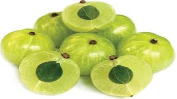 Amla Benefits : શિયાળામાં ખાલી પેટ આમળા ખાવાથી મળશે ઘણા લાભ, ફાયદા જાણીને આજથી જ કરશો શરૂ