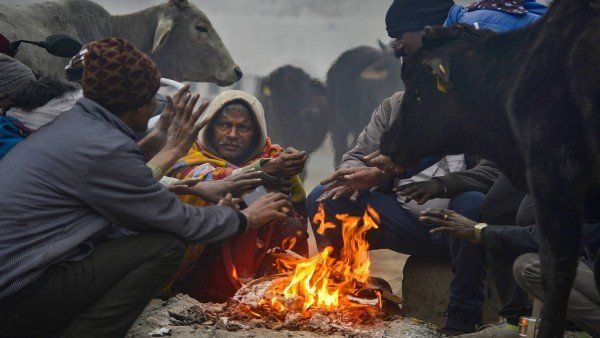 Weather Updates: ભીષણ ઠંડીની ચપેટમાં આવ્યુ ઉત્તર ભારત, -4.5 ડિગ્રી તાપમાનમાં ઠુંઠવાયુ સીકર