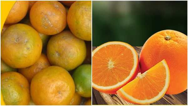 ખૂબ જ ફાયદાકારક છે સંતરાનું સેવન