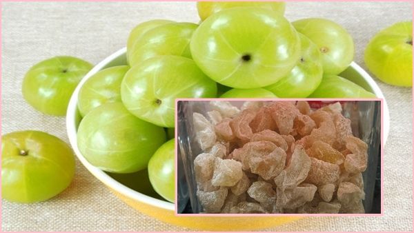 Amla Candy Recipe in Gujarati : ઘરે બનાવો આમળાની કેન્ડી, થશે આ મોટા લાભ