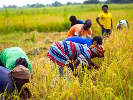 મહેનતુ લોકો સાથે ક્યારેય ખરાબ વર્તન ન કરો