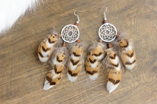 ડ્રીમ કેચર શું છે?