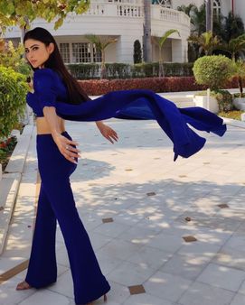 મૌનીની સૌશિયલ મીડિયા પર મોટી ફેન ફોલોઈંગ છે