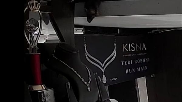 હિરાના હાર ચોરીને ચોરીન રફુચક્કર