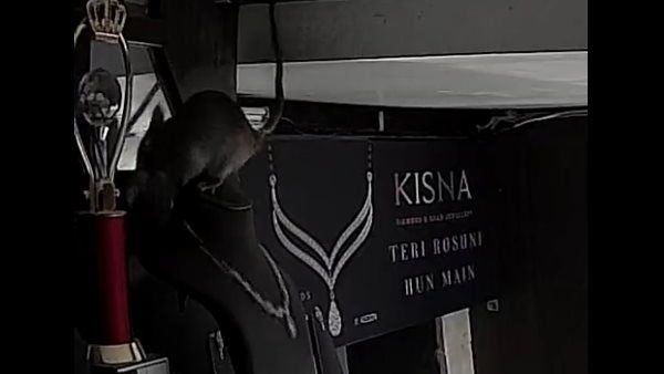 પુરી ઘટના સીસીટીવીમાં કેદ થઇ 