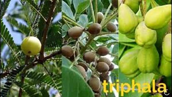 ત્રિફળા