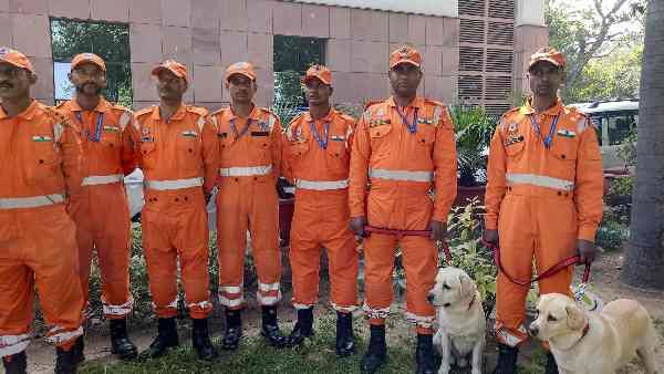 શાહરૂખ, સલમાન અને દીપિકાના ફેન છે તુર્કી વાસી