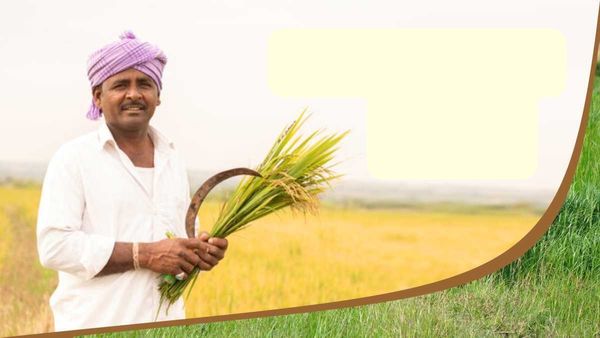 UP Budget 2023 : સામાન્ય ચૂંટણી પહેલા યોગી સરકારનો માસ્ટર સ્ટ્રોક, બજેટમાં ખેડૂતો માટે કરી આ જોગવાઇ, આપી રાહત