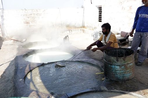 સિંહ, કેસર કેરી અને હવે ગોળની મીઠાશ