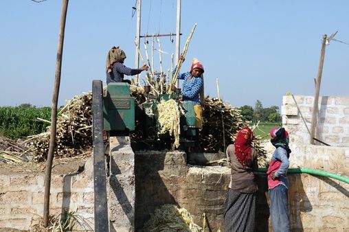 એન્ટિઑક્સિડન્ટ અને ખનીજ માત્રાથી ભરપૂર