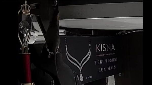 Video: ઉંદર નિકળ્યો ચોર, આવી રીતે કરી હિરાના હારની ચોરી