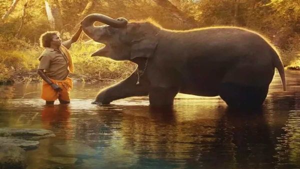 Oscars 2023: ધ એલિફન્ટ વ્હિસપર્સને મળ્યો બેસ્ટ ડૉક્યુમેન્ટરી શૉર્ટ ફિલ્મનો ઑસ્કર અવૉર્ડ