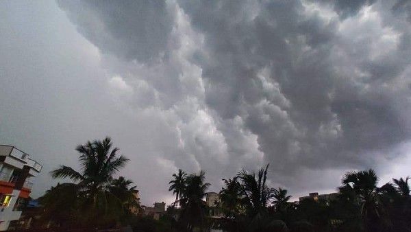 પાકને થશે નુકશાન પાકને થશે નુકશાન
