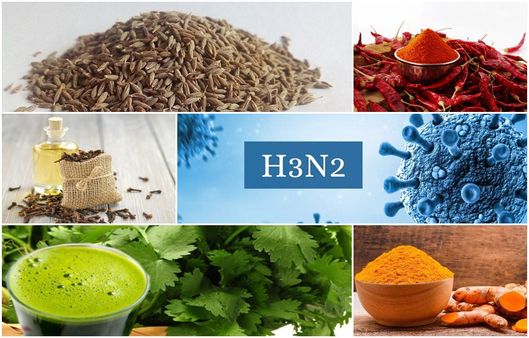 Health Tips : H3N2 વાયરસના જોખમ વચ્ચે રોગપ્રતિકારક શક્તિ વધારવા માટે અપનાવો આ ઉપાય
