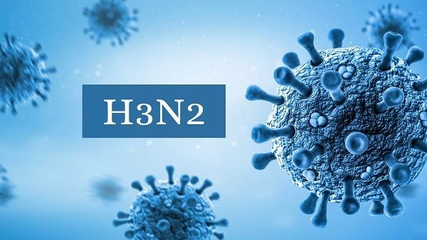 H3N2 શું છે?