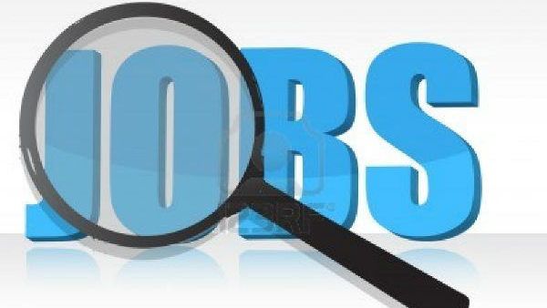 રોજગારી સર્જન પર છે સરકારનું ધ્યાન રોજગારી સર્જન પર છે સરકારનું ધ્યાન