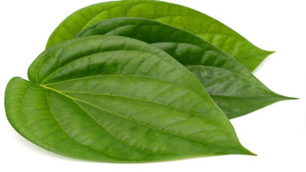 પાનના ઉપાય