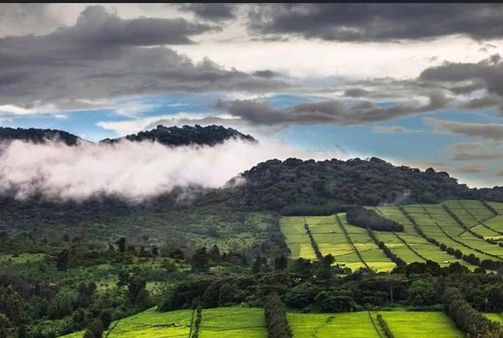 નંદી હિલ્સ