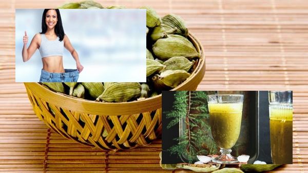 Cardamom Water : એલચીનું પાણી ઘટાડી શકે છે તમારું વજન, જાણી લો આ ખાસ રીત