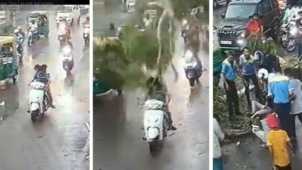 કુદરતી આફત Live Video સ્કુટી સવાલ પર ઉપર પડ્યુ ભારે ભરખમ જાડ, જુઓ વીડિયો