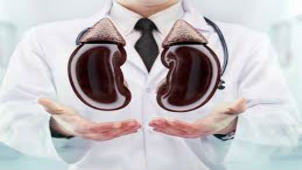 Health Tips : કિડનીની સફાઇ કરે છે નારિયેળ પાણી, શરીરમાંથી બહાર થશે પથરી અને અન્ય કચરો