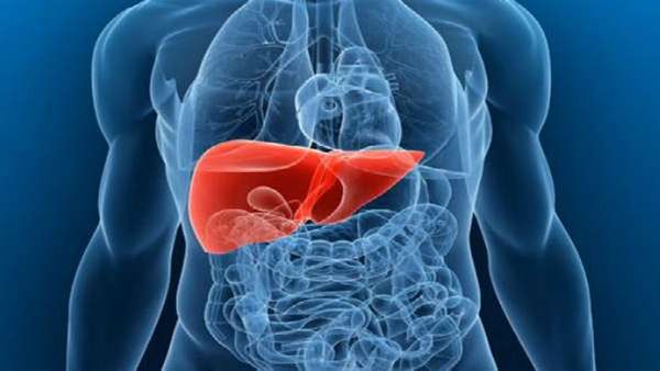 Liver Detox Food : લીવરમાં જામેલી ગંદકી દૂર કરશે આ ફળો, રોજ કરો સેવન