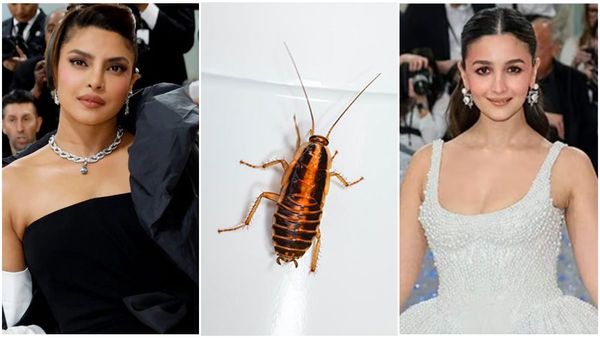 Met Gala 2023 : હસીનાઓ વચ્ચે મેટ ગાલાના રેડ કાર્પેટ પર વંદાની એન્ટ્રી, જુઓ વીડિયો