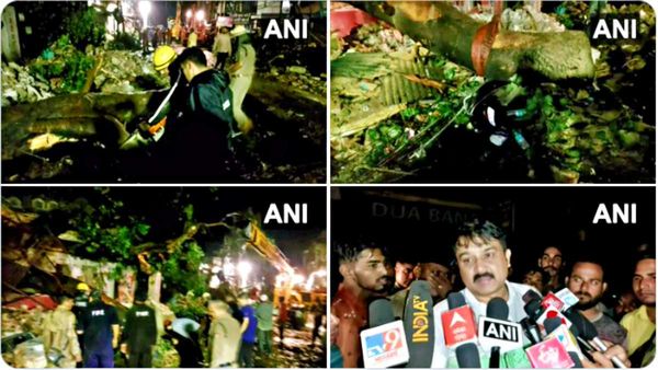 Uttarakhand માં ખરાબ હવામાન, 200 વર્ષ જુનૂ ઝાડ પડતા 2 લોકો ના મૌત