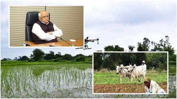 માવઠાના માર વચ્ચે ખેડૂતોને રાહત, સરકાર આપશે હેક્ટર દીઠ 23000ની સહાય