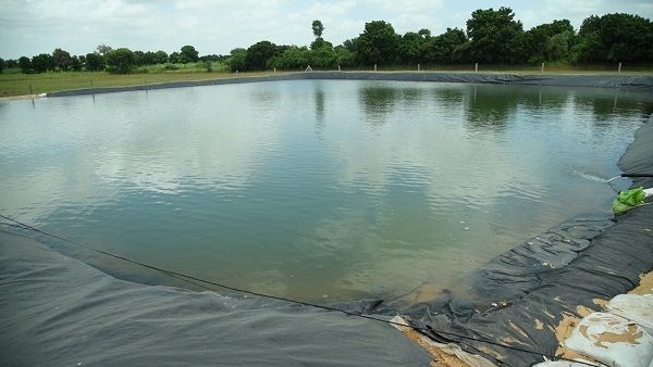 પાણીની અછત ધરાવતા વિસ્તારોની ખેત તલાવડીમાં જીઓમેમ્બ્રેન ફીટ કરવા માટે અરજીઓ મંગાવાઈ