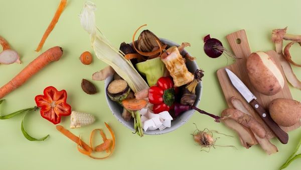 World Environment Day: ઝીરો-વેસ્ટ કિચન શું છે, ખોરાકનો બગાડ અટકાવવાની સ્માર્ટ રીતો