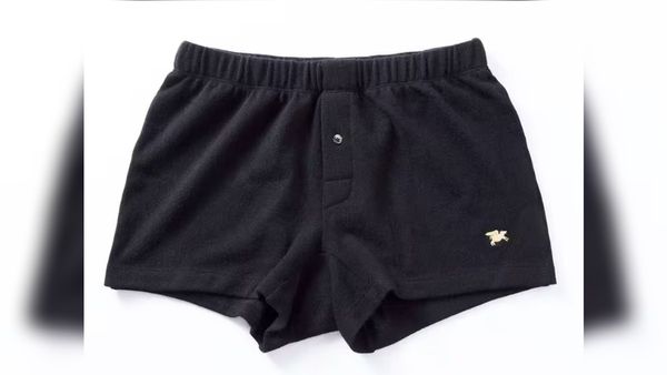 આ છે દુનિયાના સૌથી મોંઘા અંડરવેર, કિંમત સાંભળીને દંગ રહી જશો