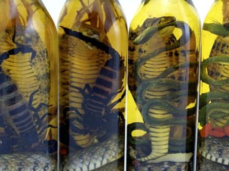 જાણો શું છે સ્નેક વાઇન? લોકો બોટલમાં સાપ રાખીને શા માટે પીવે છે?