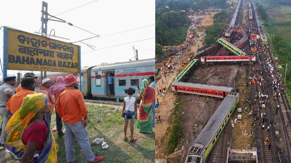 ટ્રક ભરીને લાશો વચ્ચે ચાલી રહ્યા હતા એક શ્વાસ, આપવિતી સાંભળીને રૂહ કાંપી જશે