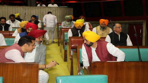 Punjab News : પાણી અને પર્યાવરણ સંરક્ષણ માટે શરૂ કરીશું જન આંદોલન - ભગવંત માન