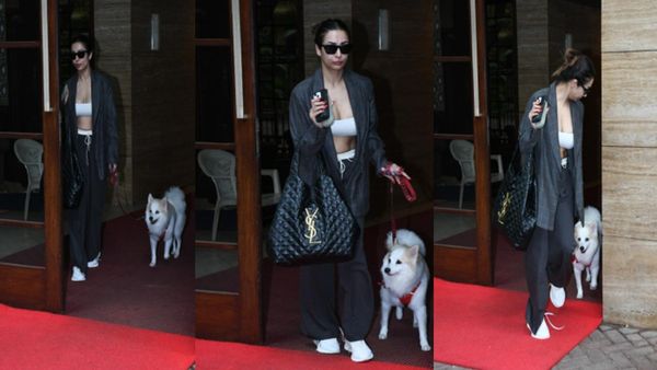 કાલિત લુકમાં ડોગી સાથે ફરવા નીકળી મલાઈકા અરોરા, લેટેસ્ટ લુક વાયરલ